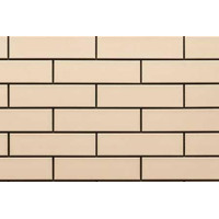 Cerrad Elewacja Gladka Krem 6.5x24.5