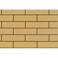 Cerrad Elewacja Gladka Piaskowa 6.5x24.5