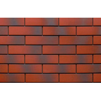 Cerrad Elewacja Rott С Оттенком 6.5x24.5