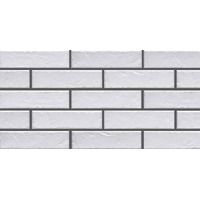 Cerrad Foggia Bianco 6.5x24.5
