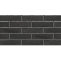 Cerrad Foggia Nero 6.5x24.5