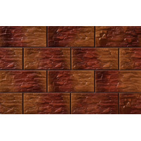 Cerrad Kamien Cer Coral 14.8x30
