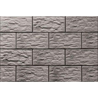 Cerrad Kamien Cer Cyrkon 14.8x30