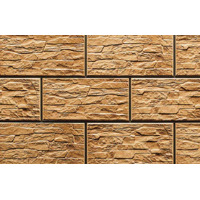 Cerrad Kamien Cer Limonit 14.8x30