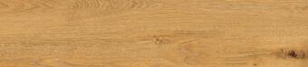 Cerrad Listria Miele 17.5x80