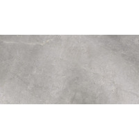 Керамогранит Cerrad Masterstone Silver Rect 59.7x119.7