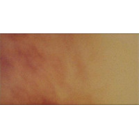 Cerrad Shadow Autumn Leaf Floor 14.8x30