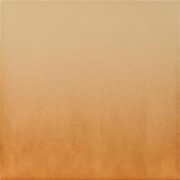 Cerrad Shadow Gobi Floor 30x30
