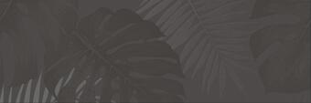 Coliseumgres Lifestyle Moka Inserto Jungle 25x75