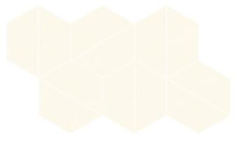 Coliseumgres Malpensa White Trapezium 18x31.4
