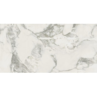 Керамогранит Coliseumgres Michelangelo Cold 60x120