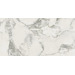 Керамогранит Coliseumgres Michelangelo Cold 60x120