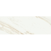 Coliseumgres Trevi White 25x75