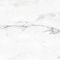 Керамогранит Colorker Insignia White Silk Pav 59.5x59.5