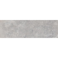 Керамика Colorker Universe Grey 31.6x100