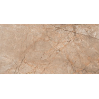 Керамогранит Creatile Marbles Solido Marrone 60x120