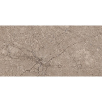 Керамогранит Creatile Marbles Turkies William Carving 60x120
