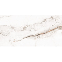 Керамогранит Creatile Whites Fantastic One 60x120