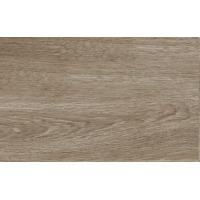 Creto Misty Wood 25x40