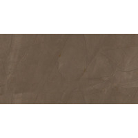 Creto Pulpis Brown W M Nr Glossy 31x61