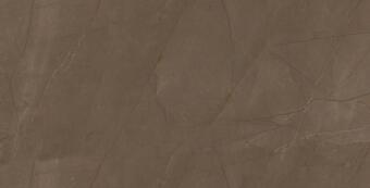 Creto Pulpis Brown W M Nr Glossy 31x61