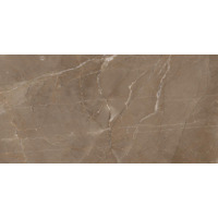 Cube Ceramica Mumbai Coffee 30x60