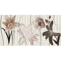 Cube Ceramica Pegas Decor 2 25x50
