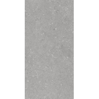 Керамогранит Dado Ceramica Shellstone Grigio 60x120