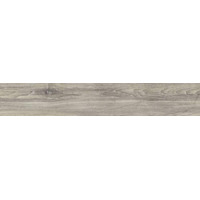 Керамогранит Del Conca Burma BU5 20x120
