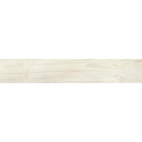 Керамогранит Del Conca Foreste D Italia Fi10 Bianco Rett Plus Spess 8.5 mm 20x120