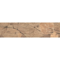 Керамогранит Del Conca Foreste D Italia Foliage Noce 20x80