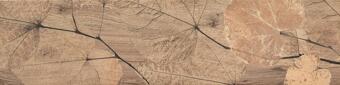 Керамогранит Del Conca Foreste D Italia Foliage Noce 20x80