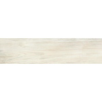 Керамогранит Del Conca Foreste D Italia Plus Blanco 20x80