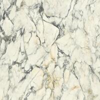 Керамогранит Del Conca Premiere 10 Paonazzo Rett 120x120