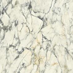 Керамогранит Del Conca Premiere 10 Paonazzo Rett 120x120
