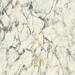 Керамогранит Del Conca Premiere 10 Paonazzo Rett 120x120