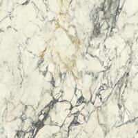 Керамогранит Del Conca Premiere 10 Paonazzo Shine 120x120