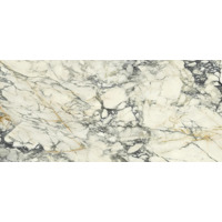 Керамогранит Del Conca Premiere 10 Paonazzo Shine 120x260