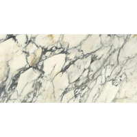Керамогранит Del Conca Premiere 10 Paonazzo Shine 60x120