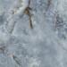 Керамогранит Del Conca Premiere 2 Onice Azzurro Shine 60x60