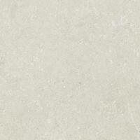 Керамогранит Del Conca Wild 10 White Rett Hard 80x80