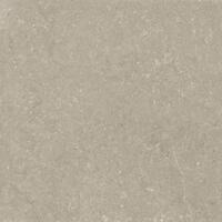 Керамогранит Del Conca Wild 11 Greige Rett Hard 120x120