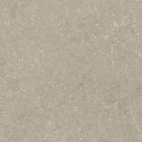 Керамогранит Del Conca Wild 11 Greige Rett Hard 80x80