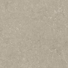 Керамогранит Del Conca Wild 11 Greige Rett Hard 80x80