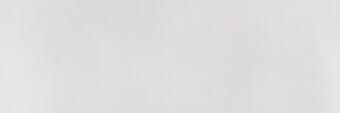 Delacora Baffin Gray Light 25.3x75