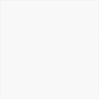Керамогранит Delacora Exotic Diamond White 41x41