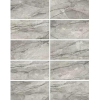 Керамогранит Delacora Oregon Gray 60x120