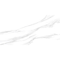 Керамогранит Delacora Statuario Silver 60x120