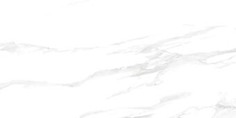 Керамогранит Delacora Statuario Silver Matt 60x120