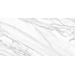 Керамогранит Delacora Statuary Venato 60x120